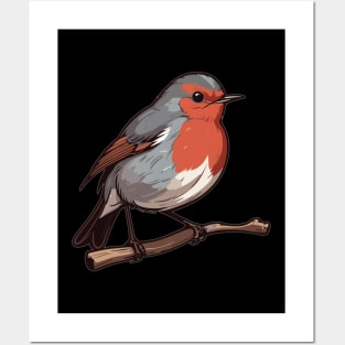 Red Robin Bird Posters and Art